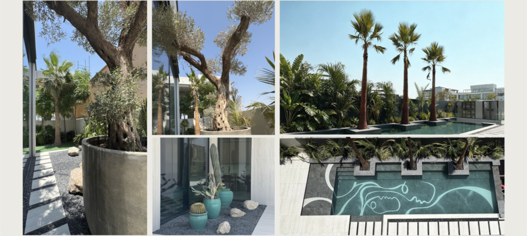 La Mer b07 Villa by 507 UAE