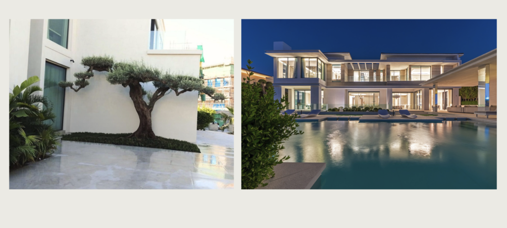 Villa 6 Al Barari Desert leaf 4 by 507 UAE